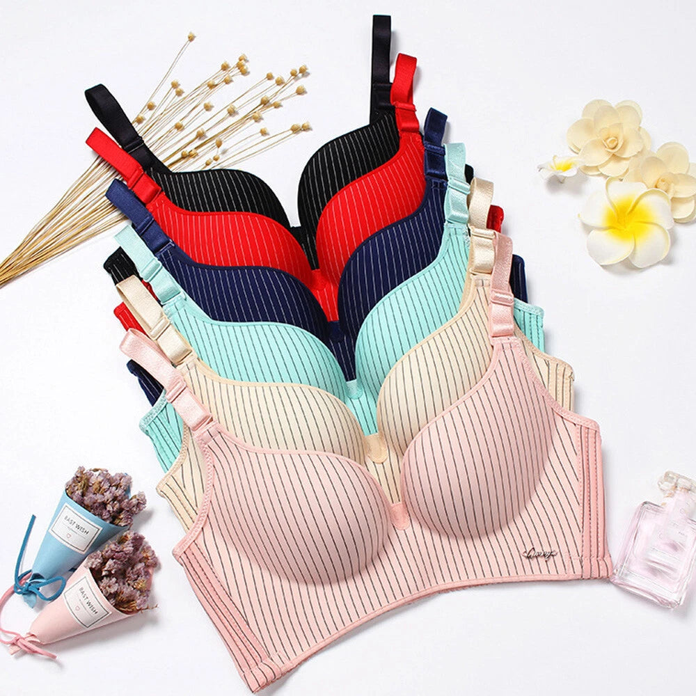 PASTEL RAYAS 5001